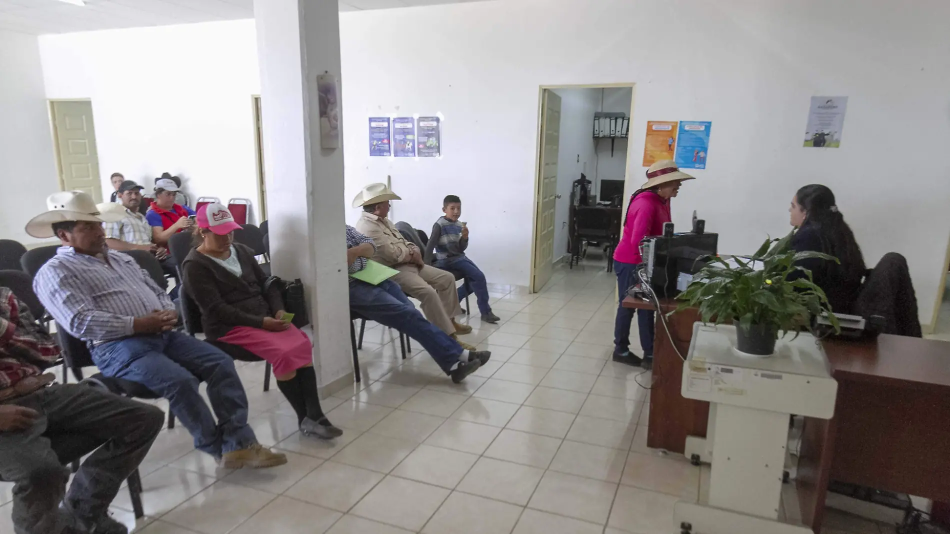 Oficinas de Desarrollo de Agropecuario estarán abiertas para que se ingresen las solicitudes.